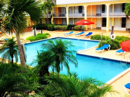 an image of the pool at a hotel with palm trees at Royal Islander Hotel in Freeport