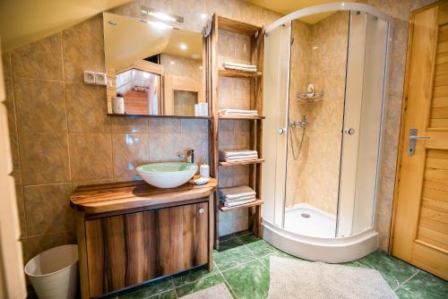 a bathroom with a sink and a shower at Apartment with Sauna pr' Geči in Dobova