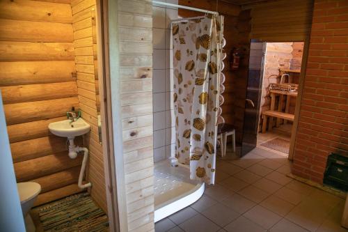 uma casa de banho com um chuveiro e um lavatório. em Melderi em Rezekne