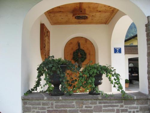 two plants in vases sitting in front of a door at Appartements Falkner Dorli in Oetz