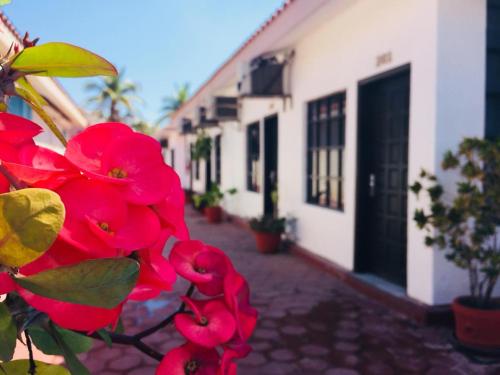 a bunch of red flowers in front of a building at Hotel Marina Topolobampo in Topolobampo