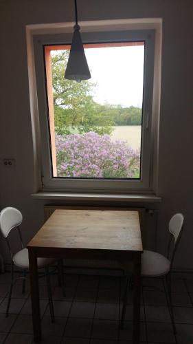 a table and chairs in a room with a window at Natur-Freude-19p in Kotzen