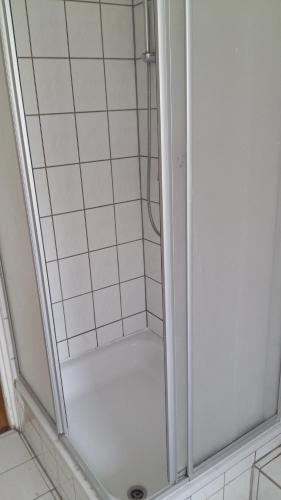 um chuveiro com uma porta de vidro na casa de banho em Natur-Freude-19p em Kotzen