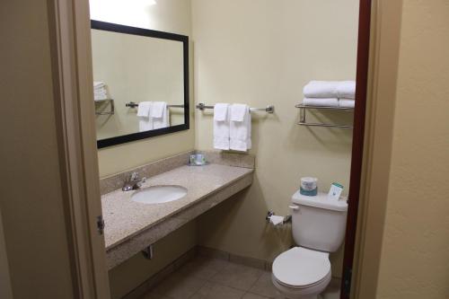 a bathroom with a sink and a toilet and a mirror at Cobblestone Inn & Suites - Rugby in Rugby