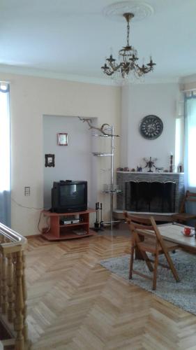 a living room with a fireplace and a tv at Toma's vila in Borjomi