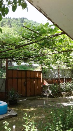 a backyard with a fence and a wooden gate at Toma's vila in Borjomi