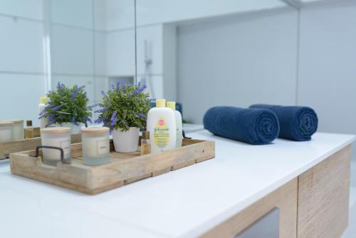 a bathroom counter with a shelf with a bottle of soap and plants at Villa Marina, Sol y Sal in Las Palmas de Gran Canaria
