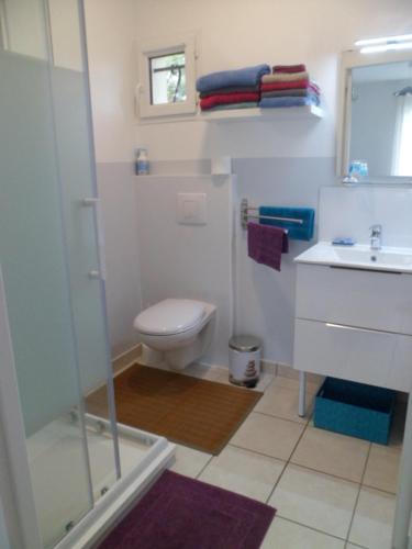 uma casa de banho com um chuveiro, um WC e um lavatório. em maisonnette entre forêt et occéan em Vendays-Montalivet