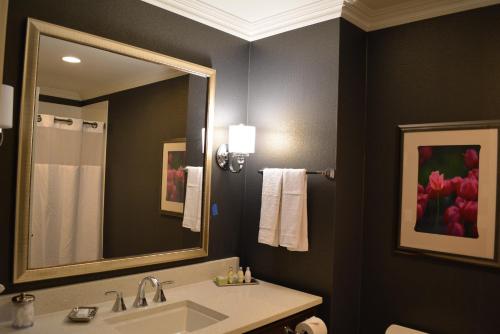 a bathroom with a sink and a mirror at Majestic Inn and Spa in Anacortes