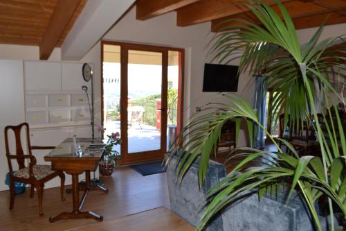 a living room with a table and a potted plant at B&B Spring in Perugia