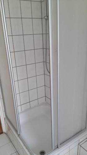 een douche met een glazen deur in de badkamer bij Natur-Freude-16 in Kotzen