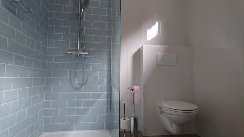 y baño con aseo y ducha con azulejos azules. en Villa Guillaumette, en Châteauneuf-les-Bains