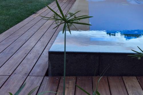 a palm tree sitting next to a swimming pool at Lida Garden Loft in Anavissos