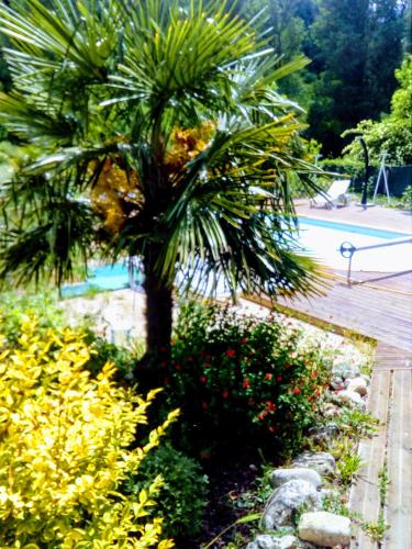 a palm tree in a garden next to a pool at Auberge de Barnas in Barnas