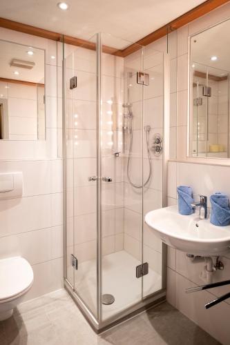 a bathroom with a shower and a sink and a toilet at Haiminger Hof in Haiming