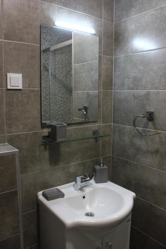 a bathroom with a sink and a mirror at Apartment Jabucanin in Cetinje
