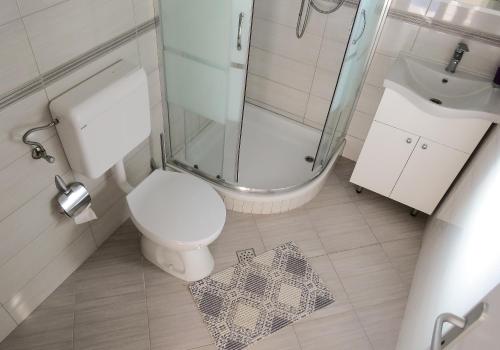 a bathroom with a shower and a toilet and a sink at BUNGALOW VICE with pool in Pakoštane