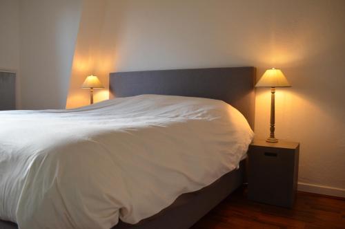 a bedroom with a white bed with two lamps at Les Terrasses de Tresserve in Aix-les-Bains