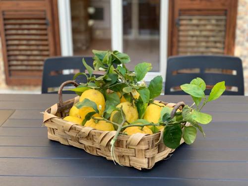 kosz cytryn siedzący na stole w obiekcie Villa il Cacciatore w Sorrento