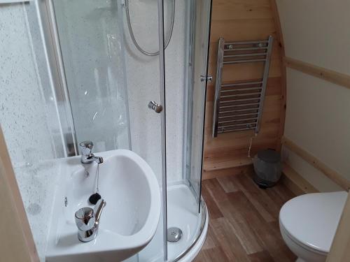 uma casa de banho com um chuveiro, um lavatório e um WC. em Larkworthy Farm Glamping Holiday Cabins em Ashwater