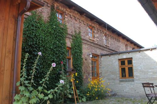 a brick building with a climbing plant on it at Ruegen_Fewo 220 in Poseritz