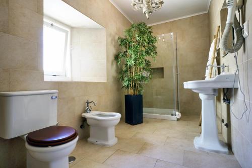 bagno con servizi igienici, lavandino e pianta di Charm Inn Sintra a Sintra