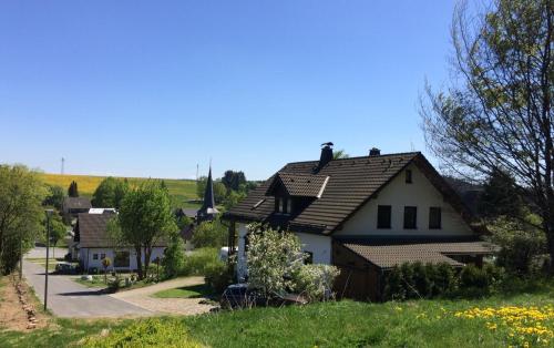 a house with a roof in a village at Steinbachblick in Steinbach am Wald
