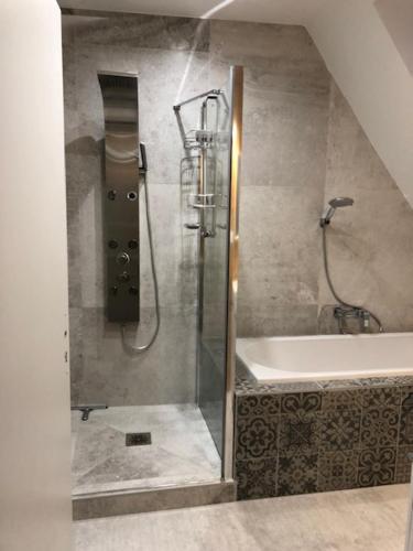 une salle de bain avec une douche, une baignoire et un lavabo dans l'établissement Magnifique Gite Le Clos des pierres Route des Vins d'Alsace, à Beblenheim