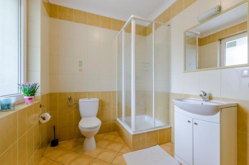 a bathroom with a toilet and a shower and a sink at Willa Rowy in Rowy