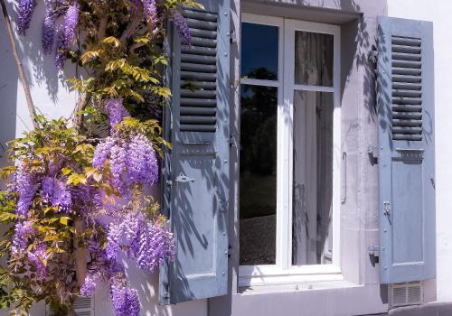 an open window with purple flowers on the side of a building at Château de Bossey in Bogis-Bossey