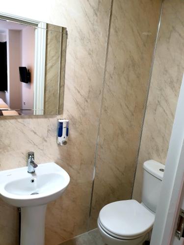 ロンドンにあるWanstead Hotelの洗面台、トイレ、鏡のあるバスルーム