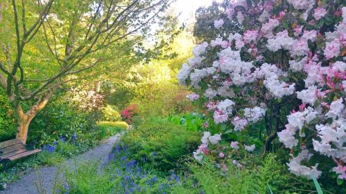 a garden with pink and white flowers and a bench at Kilmokea Country Manor & Gardens in New Ross