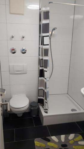 a small bathroom with a toilet and a shower at Schöne Ferienwohnung. Nähe Playmobil und Messe Nbg in Fürth