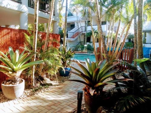 a courtyard with palm trees and a swimming pool at Outrigger Bay in Byron Bay