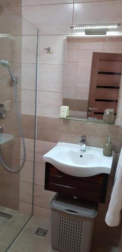 a bathroom with a sink and a shower at Apartments Nancy in Kotor