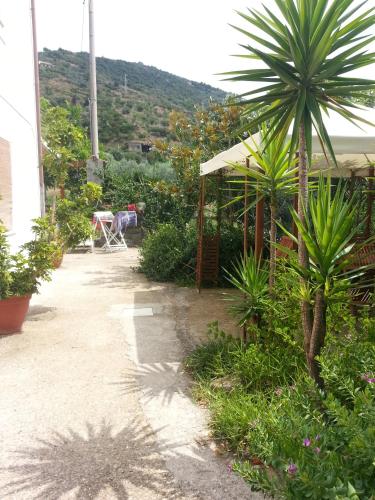 Gallery image of B&B Mazzarella in San Mauro Cilento