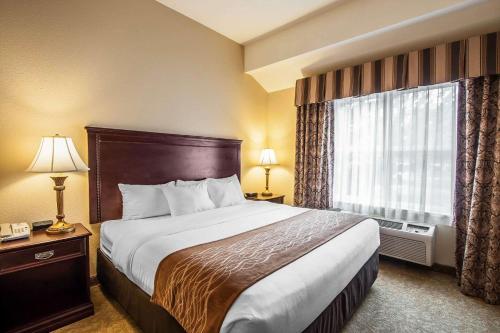 Gallery image of Comfort Inn & Suites McMinnville Wine Country in McMinnville