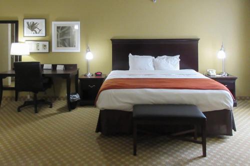 a hotel room with a bed and a desk and a bed sidx sidx at Quality Inn & Suites Alexandria in Alexandria
