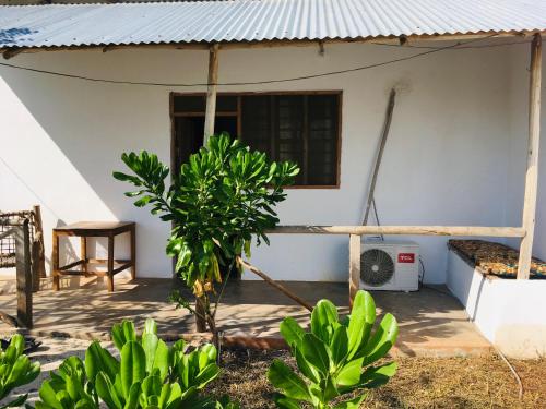 Gallery image of Kendwa Modern Flats - WAMBAA GARDEN in Kendwa