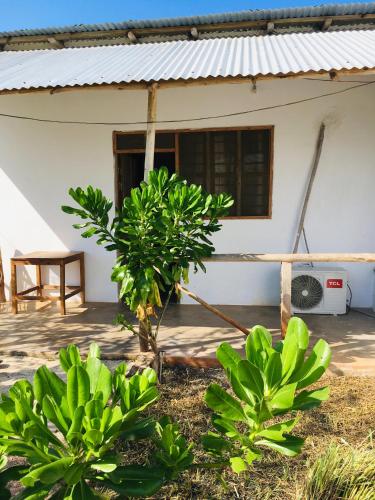 Gallery image of Kendwa Modern Flats - WAMBAA GARDEN in Kendwa