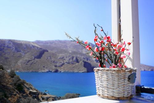 a basket filled with red berries sitting on a window sill at MOUSELIS APARTMENTS in Kalymnos