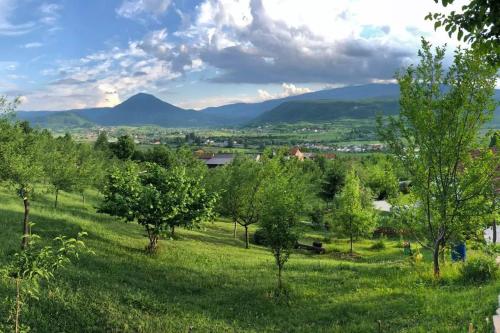 Fotografie z fotogalerie ubytování Nektar Park Villa Sara v destinaci Bihać