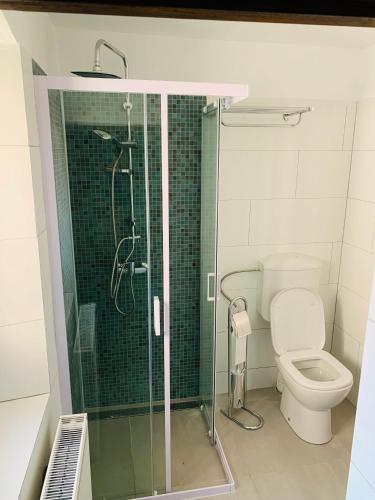 a bathroom with a toilet and a glass shower at Casa Teutsch in Sighişoara