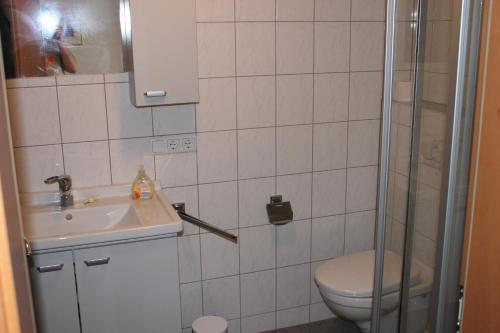 uma casa de banho com um WC, um lavatório e um chuveiro em Ferienwohnung mit Panoramablick em Viktorsberg