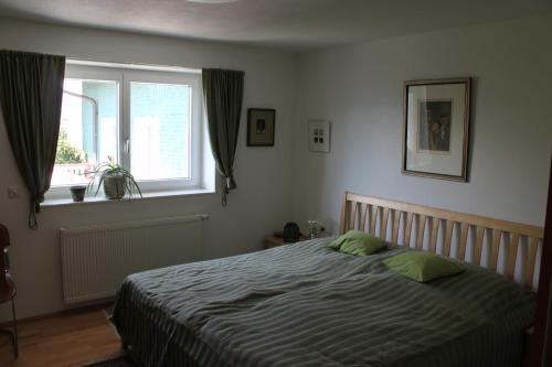 Un dormitorio con una cama con almohadas verdes y una ventana en Ferienwohnung mit Panoramablick en Viktorsberg