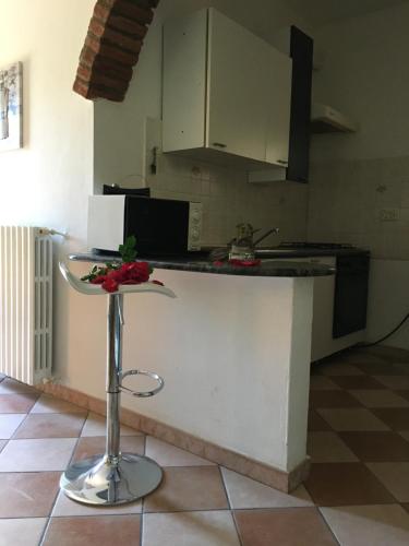 a kitchen with a counter and a stool in a room at Rossella alla Villarella dei Tulipani in Asti