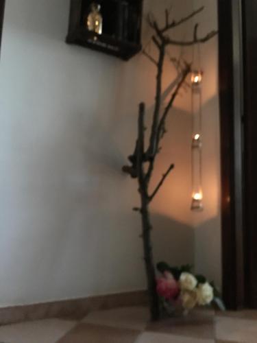 a vase with a tree in the corner of a room at Rossella alla Villarella dei Tulipani in Asti