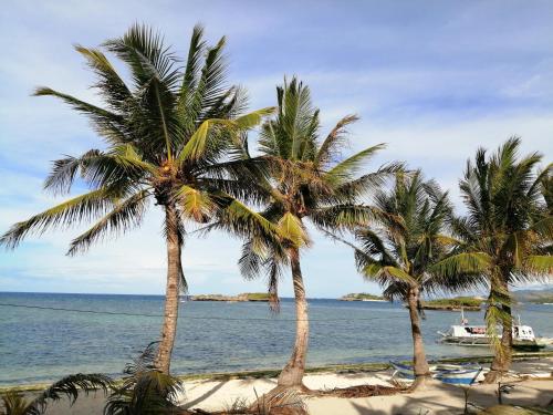a group of palm trees on a beach at Happy's Homestay in Boracay