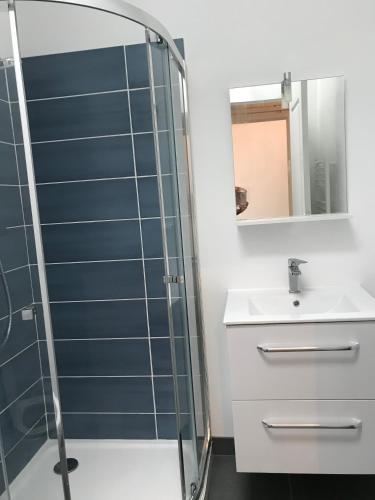 a bathroom with a glass shower and a sink at Appartement récent, proche centre ancien in Bayonne