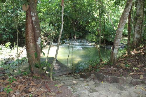 a river in the middle of a forest with trees at Topche, Centro Ecoturístico in Lacanjá